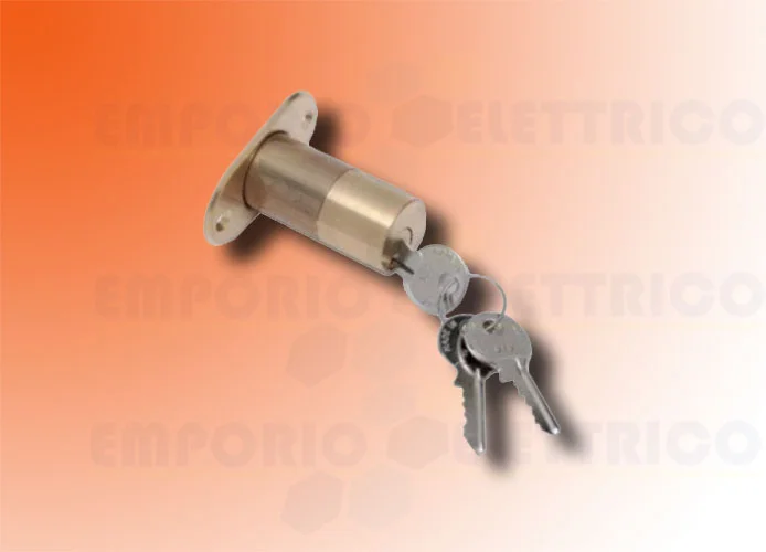 faac Außenzylinder mit 2 Schlüsseln für Elektroschloss 71265200